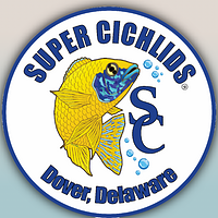 Super Cichlids Coupons and Promo Code