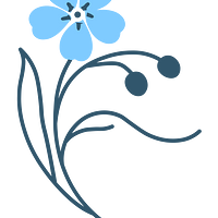 Forget Me Never