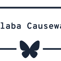 Colaba Causeway