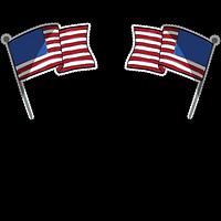 officialflagpole Coupons and Promo Code