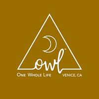 OWL Venice