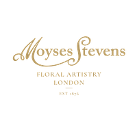 Moyses Stevens UAE
