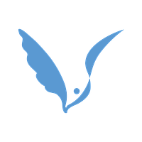 Vinguys Coupons and Promo Code