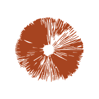 Gulf Spore