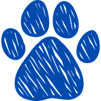 Forever Fauna Coupons and Promo Code