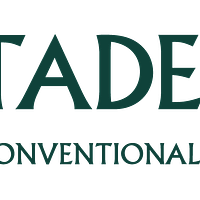 Platadepalo