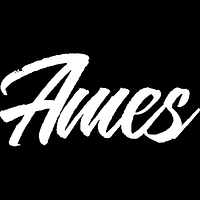 Ames Staytrue Coupons and Promo Code