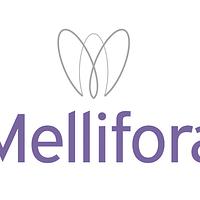 Mellifora