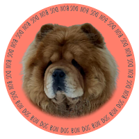 Bon Dog