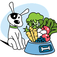 Healthy Dogma