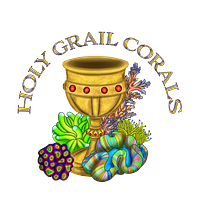 HolyGrailCorals