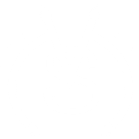 Volto Santo
