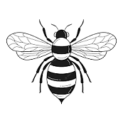 HIVE designs.