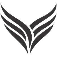 Vyana Collective