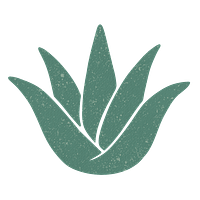 Dusty Aloe