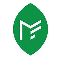 Massive Faith Market