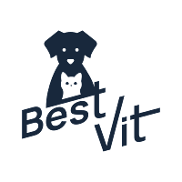 BestVit