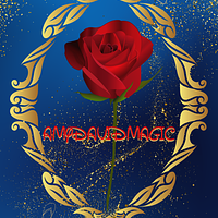 AmyDavidMagic