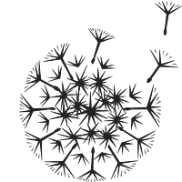 Wilder Botanics