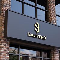 BALIVENO FASHION HOUSE LTD
