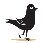 Energy Bird