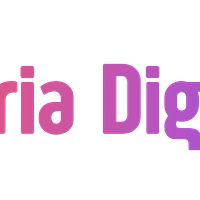Galeria Digital NL