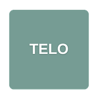telo.skin