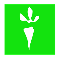DETOXIFICATION WORKS INC.
