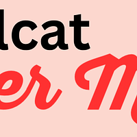 Pixlcat Butter Mochi