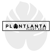 Plantlanta Plant Shop, LLC