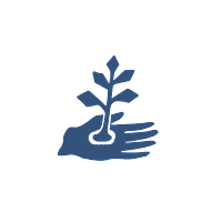Alchemy Roots