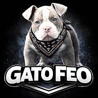 My Dog Gato Feo