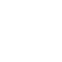 Apollo Phoenix