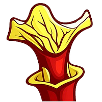 vleesetendeplantshop