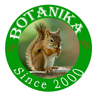 Botanika