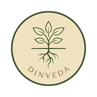 DINVEDA - GreenPath Venture GmbH