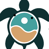Turtle Memory