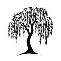 The Dear Willow