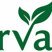 Carvaan Tea