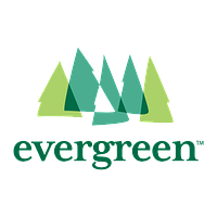 Evergreen
