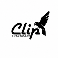 Birdie Clip