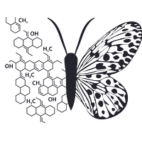 Chrysalis Skin Lab