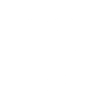 Owl Racing