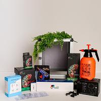 Vivid Chameleons & Reptile Supplies