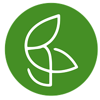 EcoRituals™ By Raysha