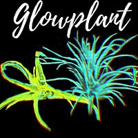Glow Plant Inc. Coupons and Promo Code