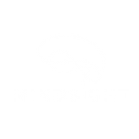 Mindsight