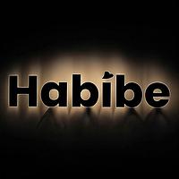 Habibe Sunglasses Coupons and Promo Code