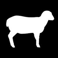 Grand Teton Lamb Coupons and Promo Code
